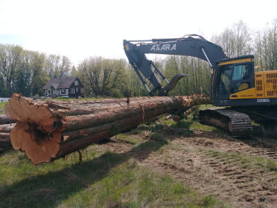 big log